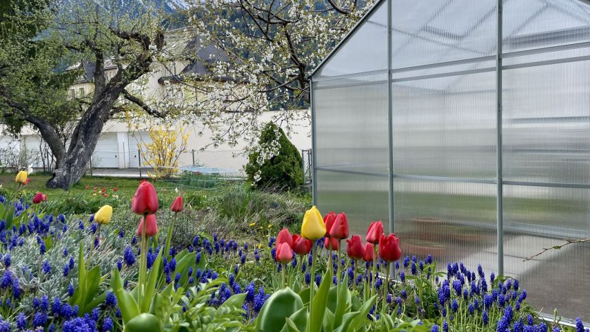 Zum Gartenglück gehört neuerdings auch ein Gewächshaus dazu. Foto: Fadrina Hofmann