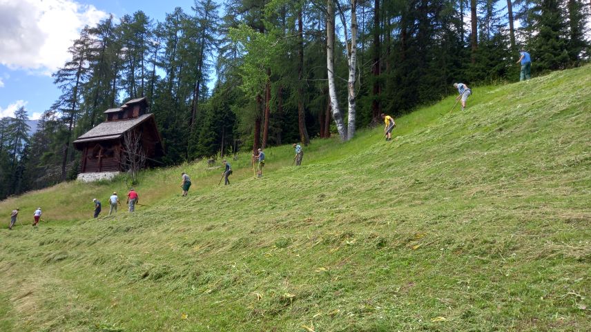 Teilnehmende des Mäh- und Denglerkurses bei der Einweihung des renovierten Carillons im letzten Juli. Foto: Bettina Gugger