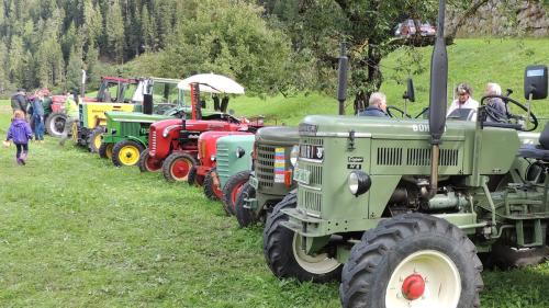 L’exposiziun da tractors vegls i’l rom dal marchà d’utuon a San Nicla ha attrat blers amaturs. fotografia: Benedict Stecher