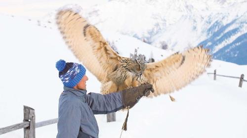 Werner Fischer e seis püf «Bubo». Püfs pon avair üna ladezza d’alas da fin 190 centimeters.	fotografia: Werner Fischer