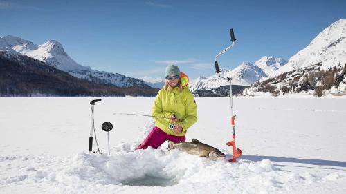 Fischerinnen-Glück: Im zweiten Versuchsjahr der Eisfischerei auf dem Silsersee wurden deutlich mehr grosse Namaycushs gefangen, wie diese junge Fischerin auf dem Bild unter Beweis stellt. Foto: www.engadin-foto.ch/Claudio Gotsch