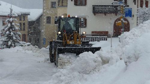 Las naiveras dan bler da far eir in cumün sco per exaimpel a Scuol (fotografia: Flurin Andry).