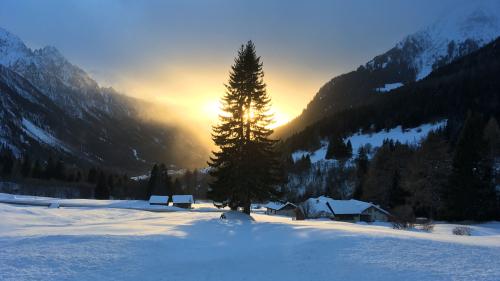 Die Bergeller Stimmberechtigten segneten Kreditanträge zuhanden der Natur ab und brachen eine Lanze für die zeitgenössische Kunst im Tal.