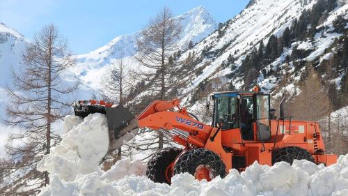 La rumida da naiv sül Pass dal Flüela cumainza la mità d’avrigl (fotografia: Romana Duschletta).