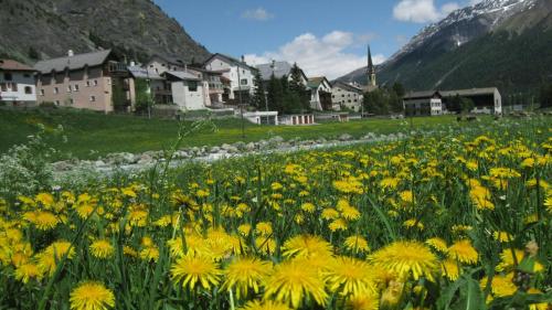 Il cumün da S-chanf es pront da collavurar insembel culs cumüns da Zernez e da Val Müstair i’l sectur da la polizia.	(fotografia: mad) 