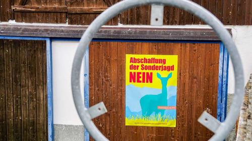 An der auffälligen Kampagne der Sonderjagd-Befürworter führte auch im Engadin fast kein Weg vorbei. Foto: Jon Duschletta