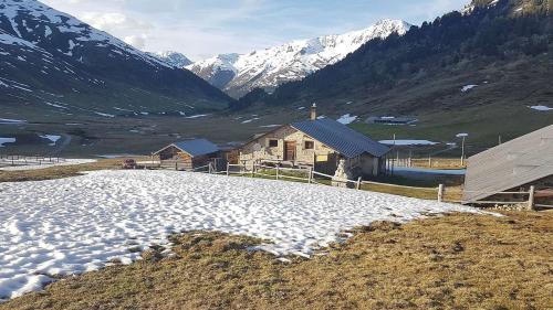 Ingon esa amo adüna blera naiv sün diversas alps, eir sün l’Alp Astras Tamangur sur S-charl. fotografia: Leta à Porta