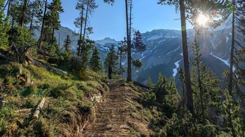 Foto: Hans Lozza/Schweizerischer Nationalpark