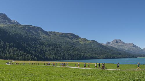 Die Läufer am Silvaplanersee. Foto:Daniel Zaugg