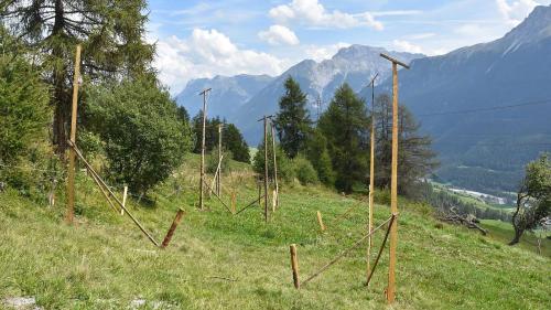 Sülla parcella 4264 sur Scuol es planisada la nouva chamonna per la pastriglia. (fotografia: Jan Schlatter)