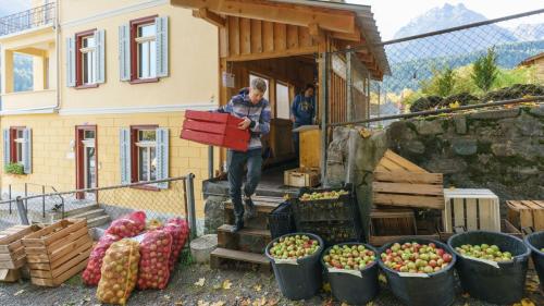 La maila vain manada illa mostaria da la Buttega a Scuol in harassas, sachs ed oters recipiaints.	 (fotografia: mad)