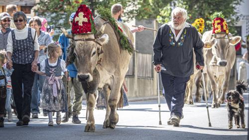 Elmar Bigger ist seit 50 Jahren Älpler auf der Alp Laret. Foto: Daniel Zaugg