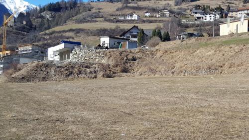 Sün quista parcella a l’ost da la zona da mansteranza Quadra Secha a Ramosch gniss fabrichada la bacharia regiunala (fotografia: Albin Paulmichl).