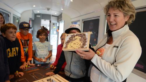 Die Engadiner Imkerin Marta Peter aus Bever erklärt den Schulkindern, wie es in einem Bienenstock aussieht.