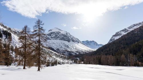 Qua as vezza il Prà da Vau cul Piz Praveder ed il Monte Forcola. fotografia: Daniel Fleuti