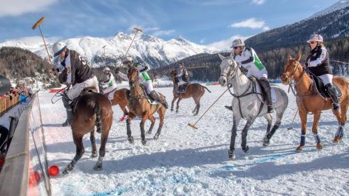 Snow Polo auf dem St. Moritzersee ist Action pur. Foto: Kathrin Gralla/www.derrotedrache.de