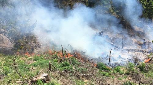 Am Donnerstagmorgen ist in Poschiavo ein Räumungsfeuer ausser Kontrolle geraten. Für die Brandbekämpfung musste ein Helikopter eingesetzt werden. Foto: Kantonspolizei Graubünden