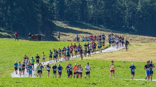 Engadiner Sommerlauf 2019   Foto: Daniel Zaugg