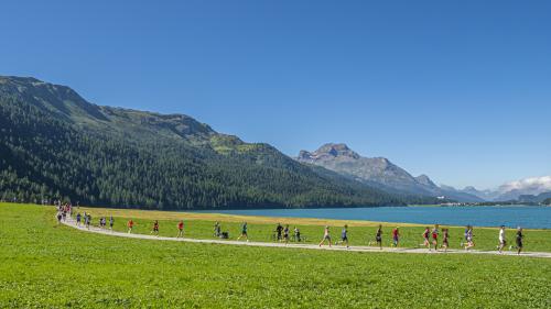  Für den 41. Engadiner Sommerlauf sind nur noch wenige Startplätze frei. Archivbild: Daniel Zaugg