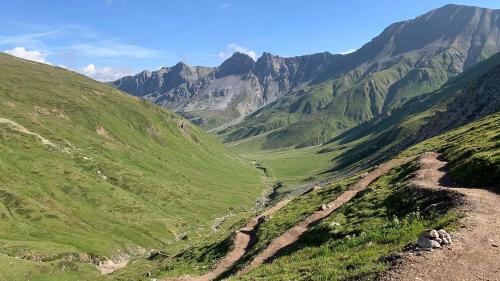 La senda chi maina sül Pass dal Chaschauna es gnida fabricheda our da la vschinauncha da S-chanf. Uossa es que pussibel da giodair il traget per bikers e viandants (fotografia: Gianna Duschletta).