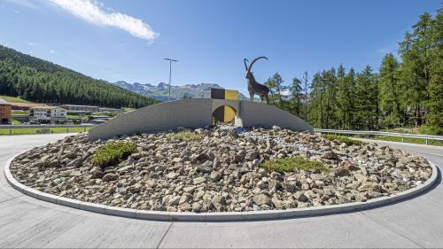 Der Steinbock siegt. Foto: Daniel Zaugg