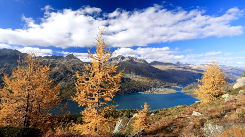 Das Oberengadin in einer schönen Jahreszeit wandernd entdecken. Viele Personen aus der ganzen Schweiz haben das Silvaplaner Angebot wahrgenommen. Foto: Enagdin St. Moritz AG