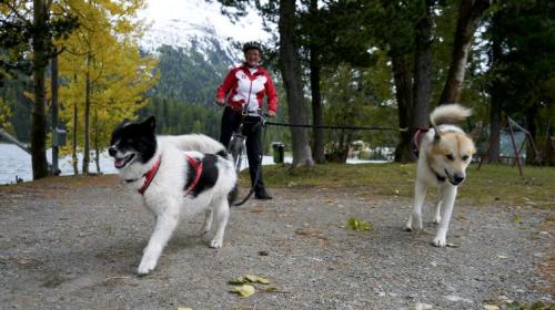 Barbara Iserhardt mit ihren Hunden Tinka’s Pers Oq und Idita’s Myrthe. In schneefreien Monaten wird auf dem Tretroller trainiert. 			Foto: Denise Kley