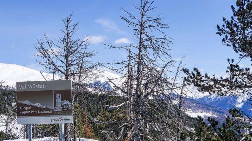 Il suveran dal Cumün da Val Müstair ha approvà a l’urna cun gronda majorità ils differents preventivs. fotografia: Jon Duschletta