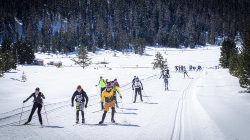 Auch der letztjährige Engadiner Skimarathon wurde abgesagt – was viele Langläufer aber nicht daran hinderte, die Marathonstrecke zu bestreiten. Dieses Jahr wird es eine digitale Zeitmessung geben.			Foto: Daniel Zaugg