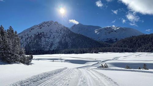 La loipa da Buffalora cun vista sül Piz Daint (fotografia: Andri Netzer).