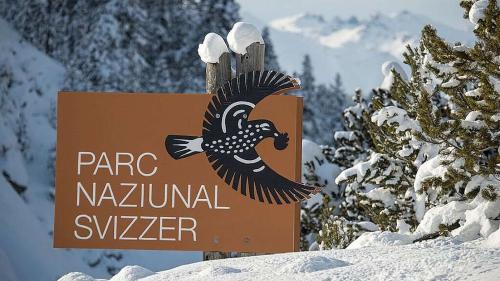 Il Parc Naziunal Svizzer survain sustegn finanzial dal Chantun e dals cumüns (fotografia: PNS