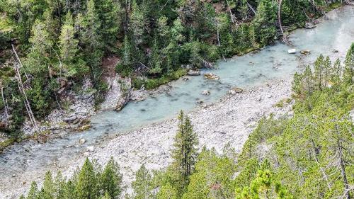 Der PCB-belastete obere Spölbach im Schutzgebiet des Schweizerischen Nationalparks. Foto: Jon Duschletta