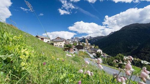 Guarda e ün dals prüms cumüns alpinistics in Svizra (fotografia: Dominik Täuber).