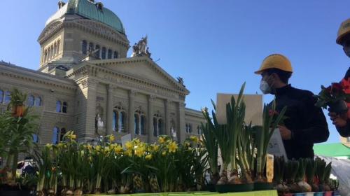 Der Berner Märit ist ein Unikum: Seit Jahren Woche für Woche vor dem Parlament aufgebaut (Foto: Ruth Bossart).