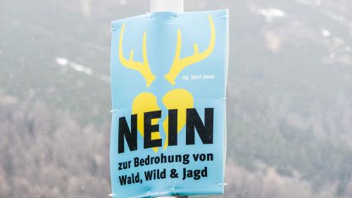 Trotz klarem Volks-Nein zur Jagdinitiative bleibt die Jagdpolitik gefordert, angeregte Verbesserungen weiter in die Jagdplanung einzubinden. Foto: Jon Duschletta