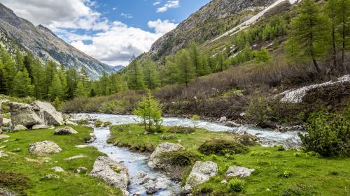 Der Beverin ist ausgezeichnet worden - als besonders schützenswertes Gewässer. Foto: Daniel Zaugg