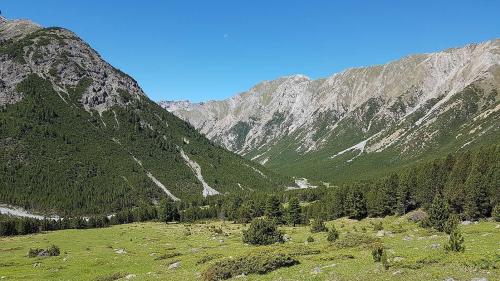 La Val Mora illa Val Müstair dess gnir laschada in poss.  fotografia: Tiziana Caratsch