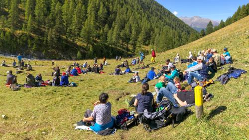 Il Parc Naziunal Svizzer ha gnü l’on passà ün record da visitaders (fotografia: Hans Lozza/PNS).