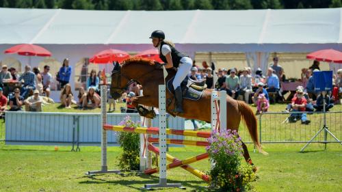 Springreiten, wie es ab heute auf der St. Moritzer San-Gian-Wiese geboten wird, ist ein für das Publikum spannender Pferdesport. Foto: z.Vfg.