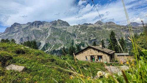 Auf der Alp Prasüra oberhalb von Sils lässt es sich gut leben als Hirte. 