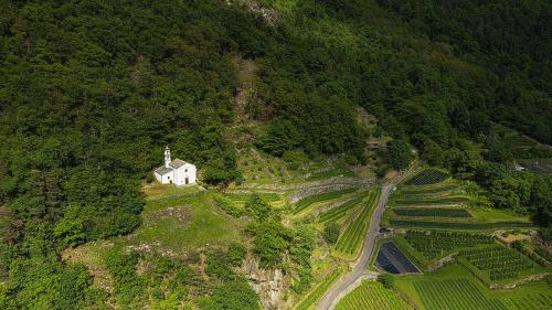 Neben dem Kirchlein von Campascio wachsen die Olivenbäume, unterhalb sind die Beerenplantagen. Marco Triacca und Nicolò Paganini sind mit ihrer Firma «Piccoli Frutti» für den agroPreis nominiert. Fotos: Alessandro Bellusio, z. Zfg