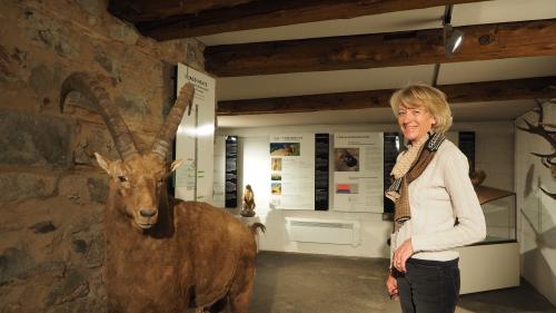 Annemarie Brülisauer vor einem Prunkstück im Museum Alpin, dem viel beachteten Steinbock.