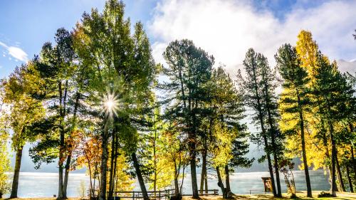 Goldener Herbst für St. Moritz: Der Gemeinde wird am kommenden Freitag das Energiestadt Gold-Label überreicht. Als 75. Gemeinde schweizweit und als erste im Kanton Graubünden. Foto: Jon Duschletta