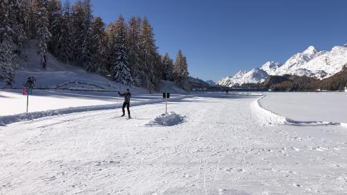 Wintertraum in Sils
Foto: Marie-Claire Jur