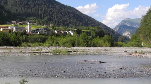 La biodiversità illas ischlas sco qua quella a Strada es fich gronda (fotografia: Angelika Abderhalden).