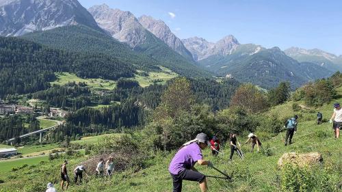 32 scolaras e scolars da la scoula privata Montana am Zugerberg dürant lur lavur in Engiadina Bassa a favur da l’ambiaint. fotografia: mad