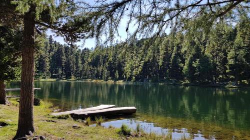 Il Lej Nair es main cuntschaint e main frequento. Zieva passa 15 minuts dal Lej Marsch oura as riva tar quist lej da palüd cun 20 gros (fotografia: Martin Camichel).