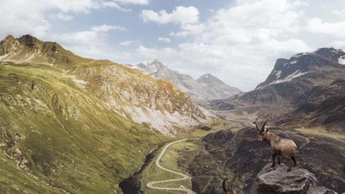 Foto: Graubünden Ferien