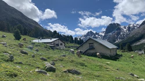 Our da l’Alp Sprella dess dvantar üna chamonna da Club alpin svizzer. Ma il WWF Grischun e la Pro Natura Grischun tiran uossa inavant lur recuors davant il Güdisch federal. (fotografia: David Truttmann).