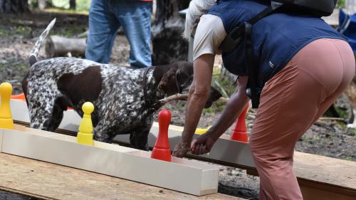 Auch Vreni Bender aus Zuoz/Basel hat mit  ihrem Hund Jared die Herausforderungen des Parcours in Sur En bewältigt (Foto: Imke Marggraf).